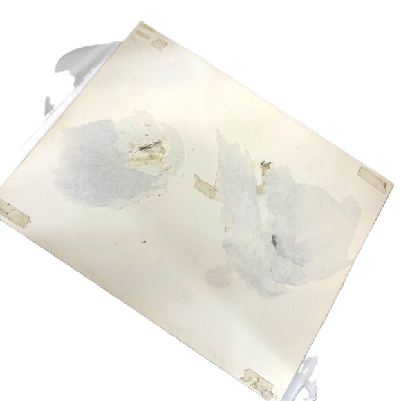 Lenticular 3D Jesus Last Supper Apostles Religious Print Vintage Vtg - Picture 7 of 9